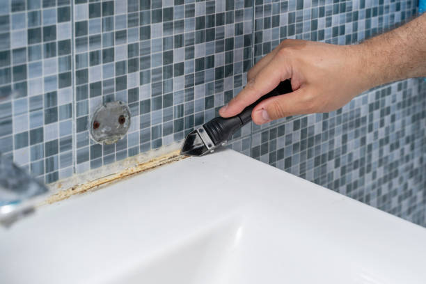 Best Attic Mold Removal  in West Blocton, AL