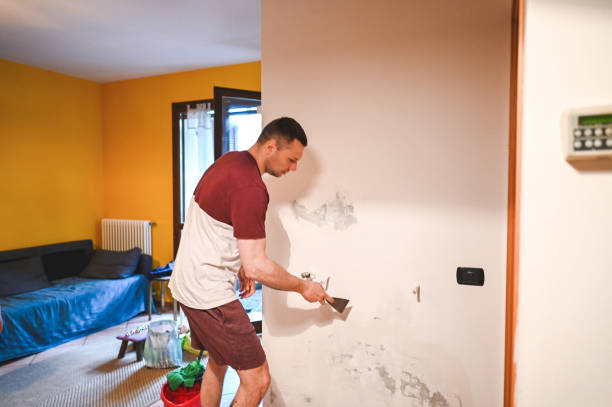 Best Attic Mold Removal  in West Blocton, AL